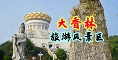 bb被鸡巴操视频中国浙江-绍兴大香林旅游风景区